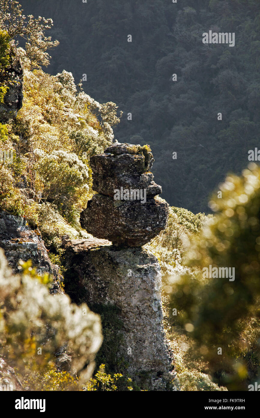 Segreto in pietra Canion Fortaleza - Parco nazionale della Serra Geral Foto Stock