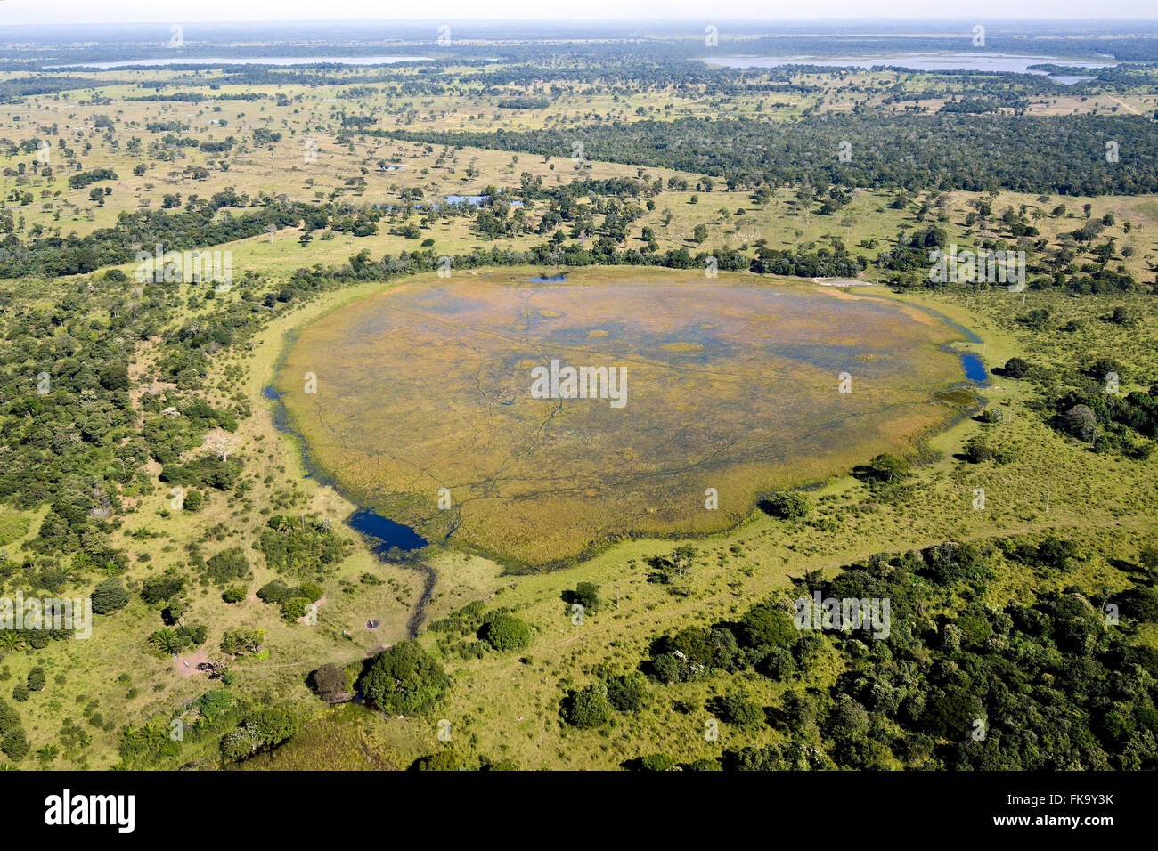 Vista aerea di tempesta stagno di acqua - noto per bay - il Pantanal Sud Foto Stock