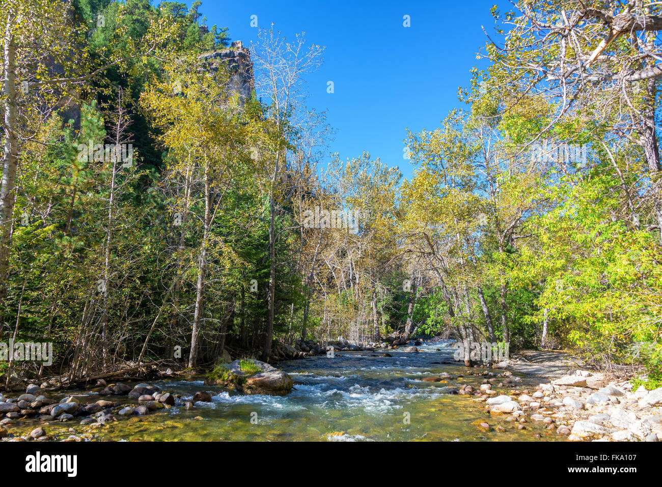 A sud di Piney Creek paesaggio vicino storia, Wyoming Foto Stock