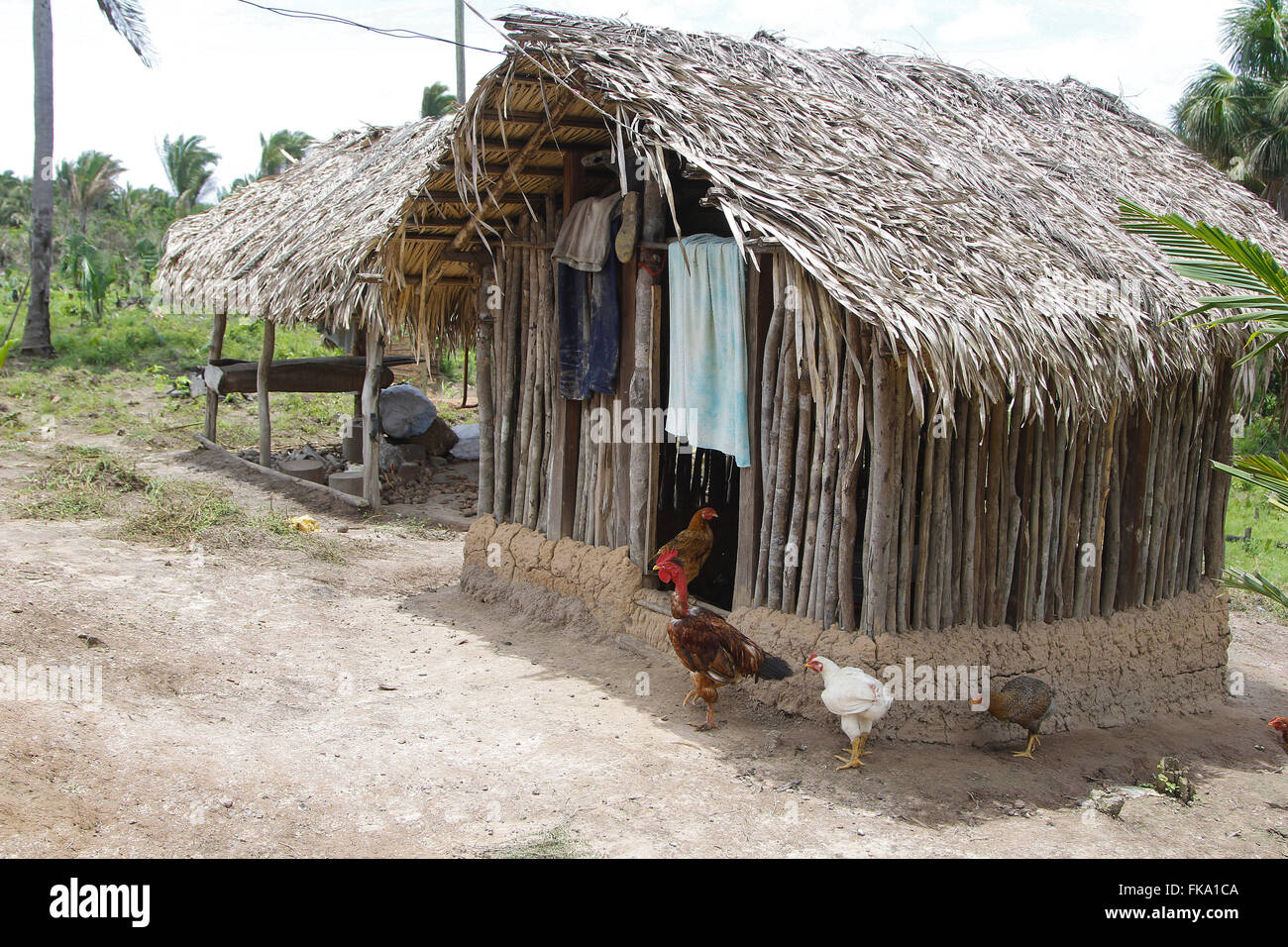 Coop bastoni e lascia babacu nella comunità Itamatatiua Foto Stock