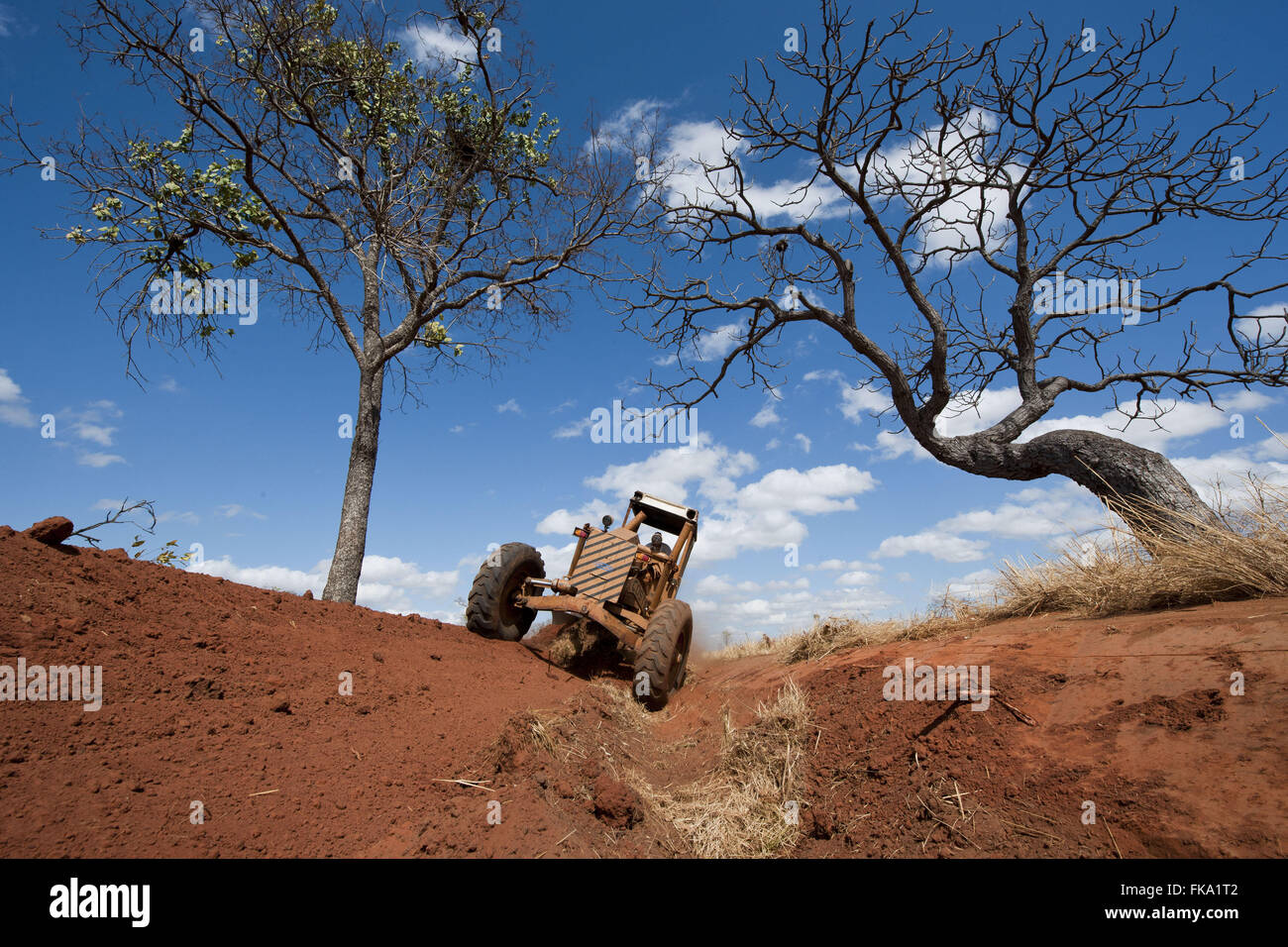 I terrazzamenti in fattoria Jequitai - conservazione del suolo pratiche che prevenire erosione Foto Stock