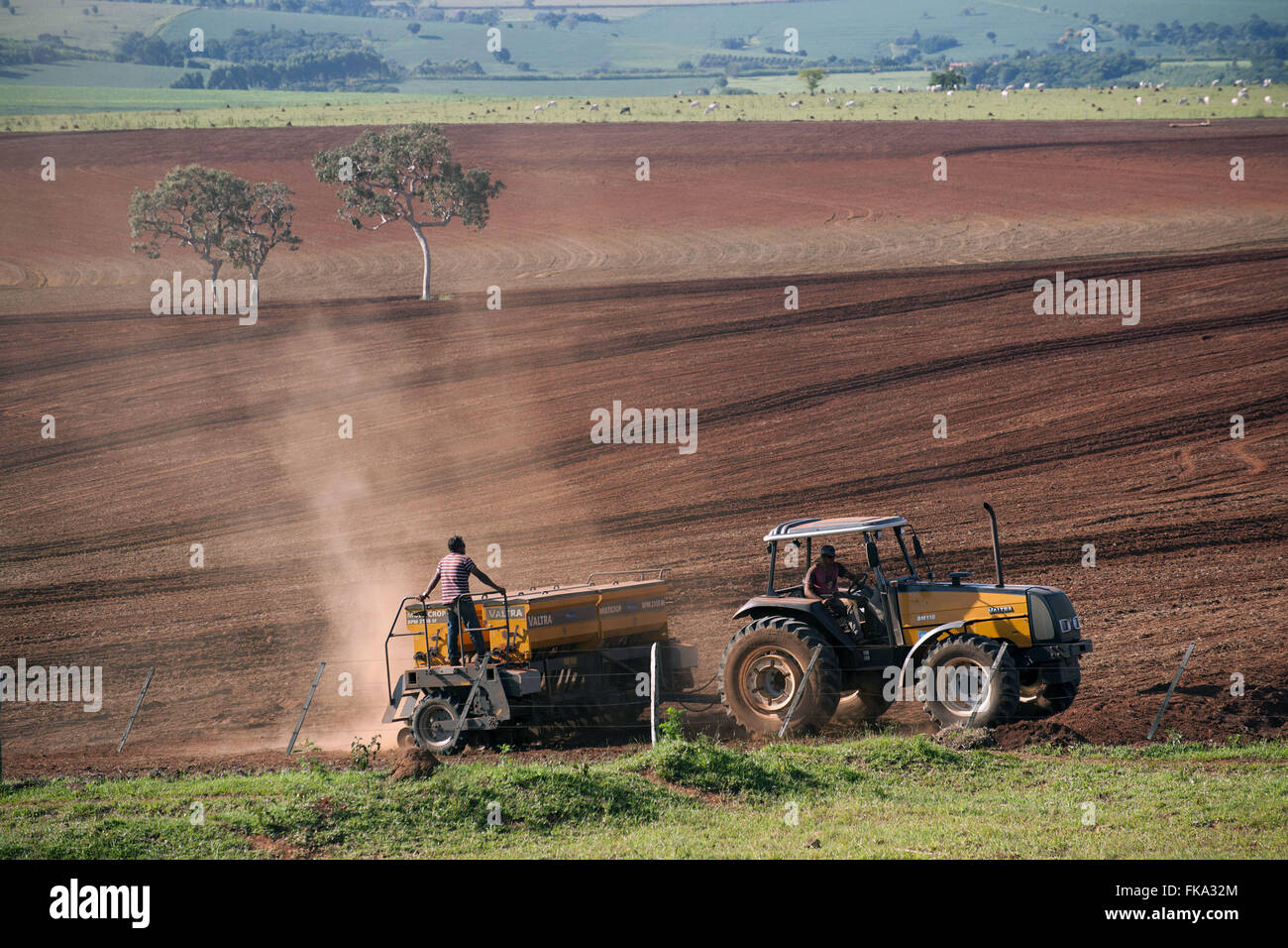 La semina del mais Itapeva rurale - regione sud-ovest dello Stato di São Paulo Foto Stock