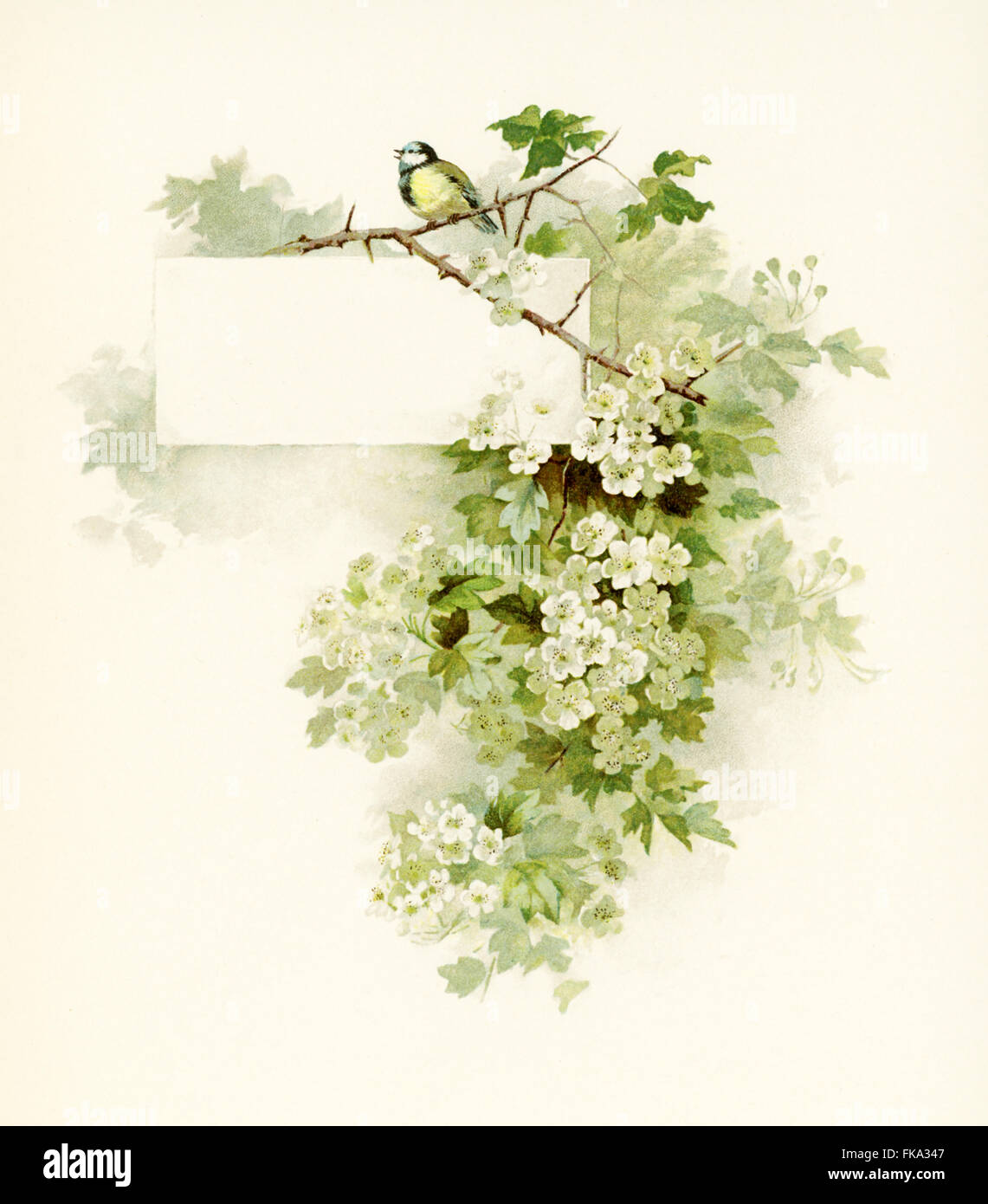 Questa illustrazione di fiori con un uccello nei rami accompagnato Phillips Brooks le poesie (c. 1886) dalla Phillips Brooks (1893). Foto Stock