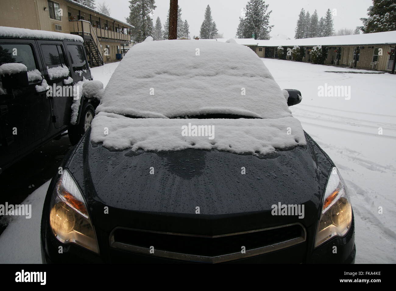 Coperta di neve veicoli a motore lungo un lodge in Shasta area di montagna, di solito visto poche ore dopo la neve fresca Foto Stock