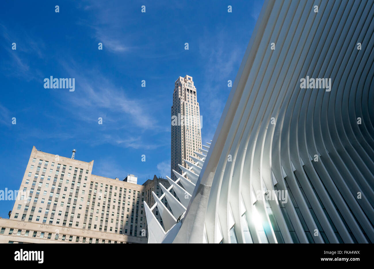 L'Occhio del WTC Hub di trasporto in Manhattan inferiore Foto Stock L'Occhio del WTC Hub di trasporto in Manhattan inferiore Foto Stock