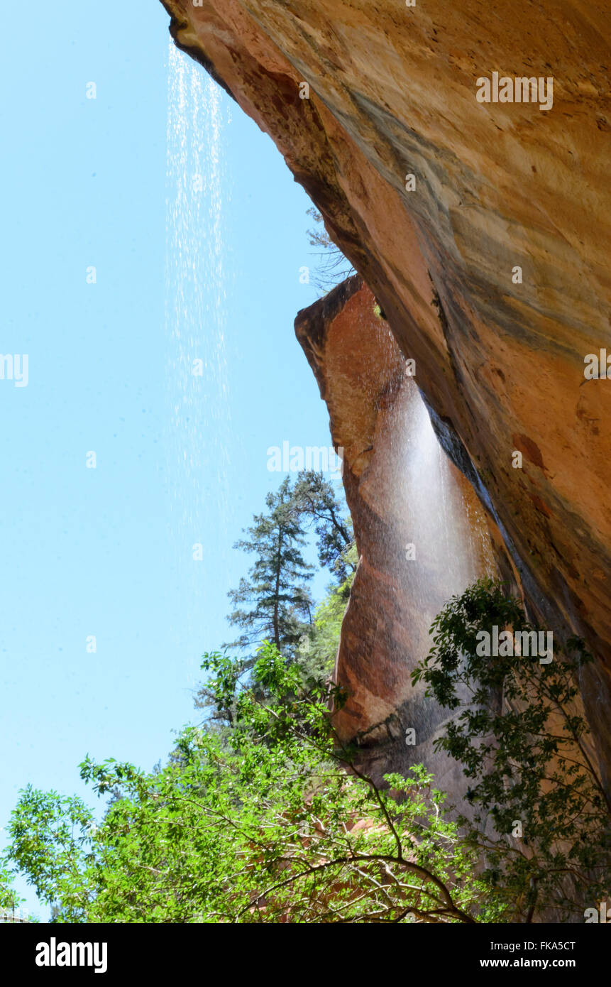 Una cascata che scorre fuori di arancio-giallo arenaria lato montagna creando una nebbia nel Parco Nazionale di Zion, Utah. Foto Stock