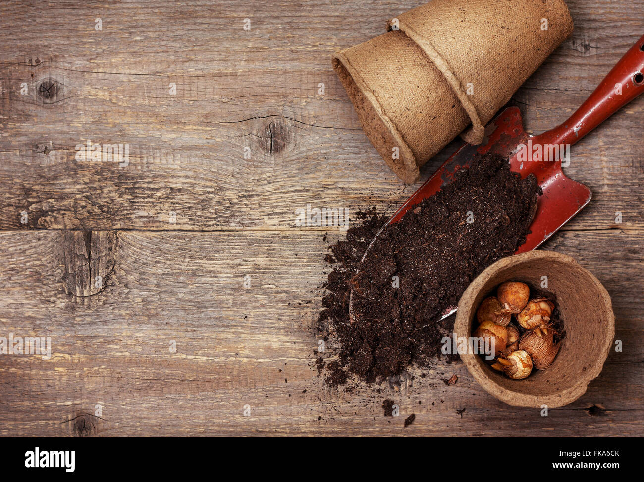 Attrezzi da giardino, vasi di torba, suolo , impianto i bulbi per la semina sul vecchio sfondo di legno Foto Stock