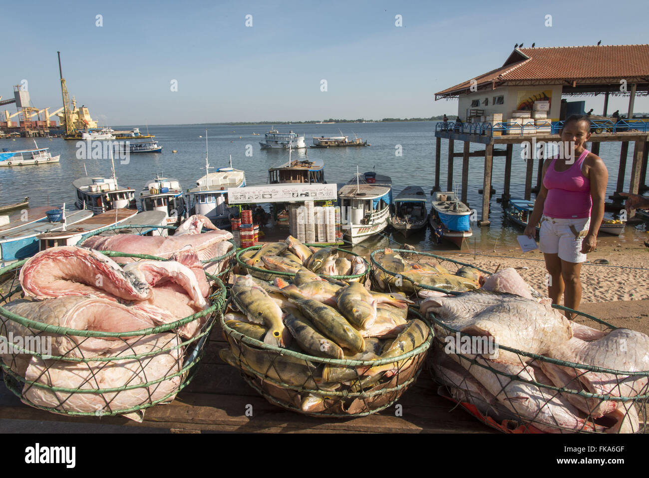 Cestini di pesce che è scaricato per la vendita in città mercato del pesce Foto Stock