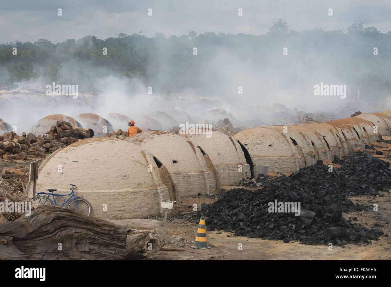 La produzione di carbone per l'acciaio con trucioli di legno di gestione forestale Foto Stock