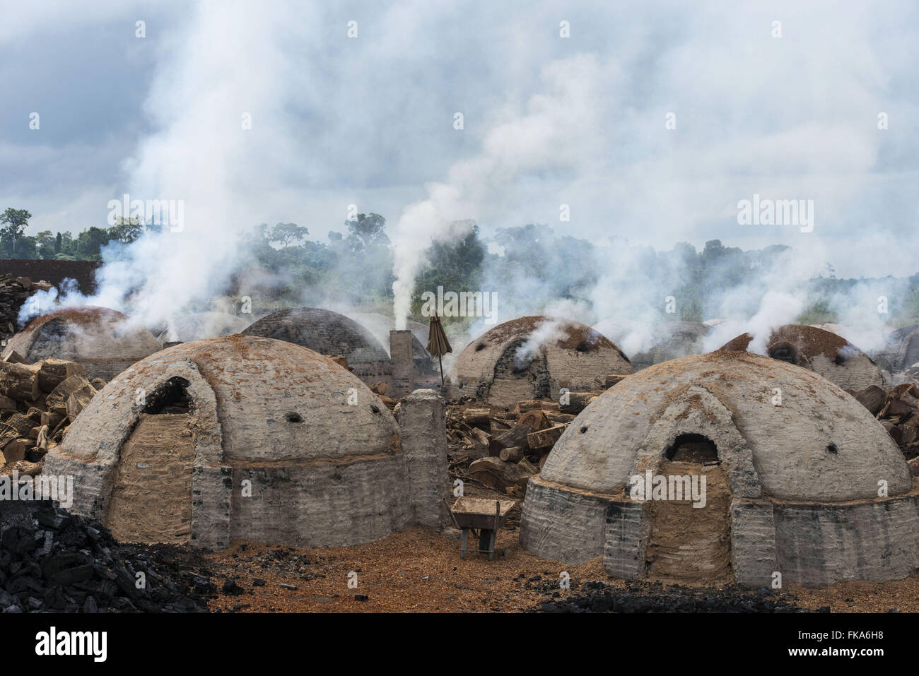 La produzione di carbone per l'acciaio con trucioli di legno di gestione forestale Foto Stock