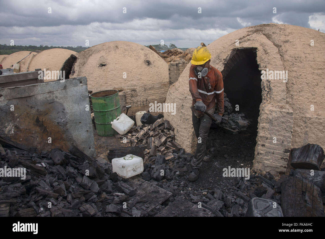 La produzione di carbone per l'acciaio con trucioli di legno di gestione forestale Foto Stock