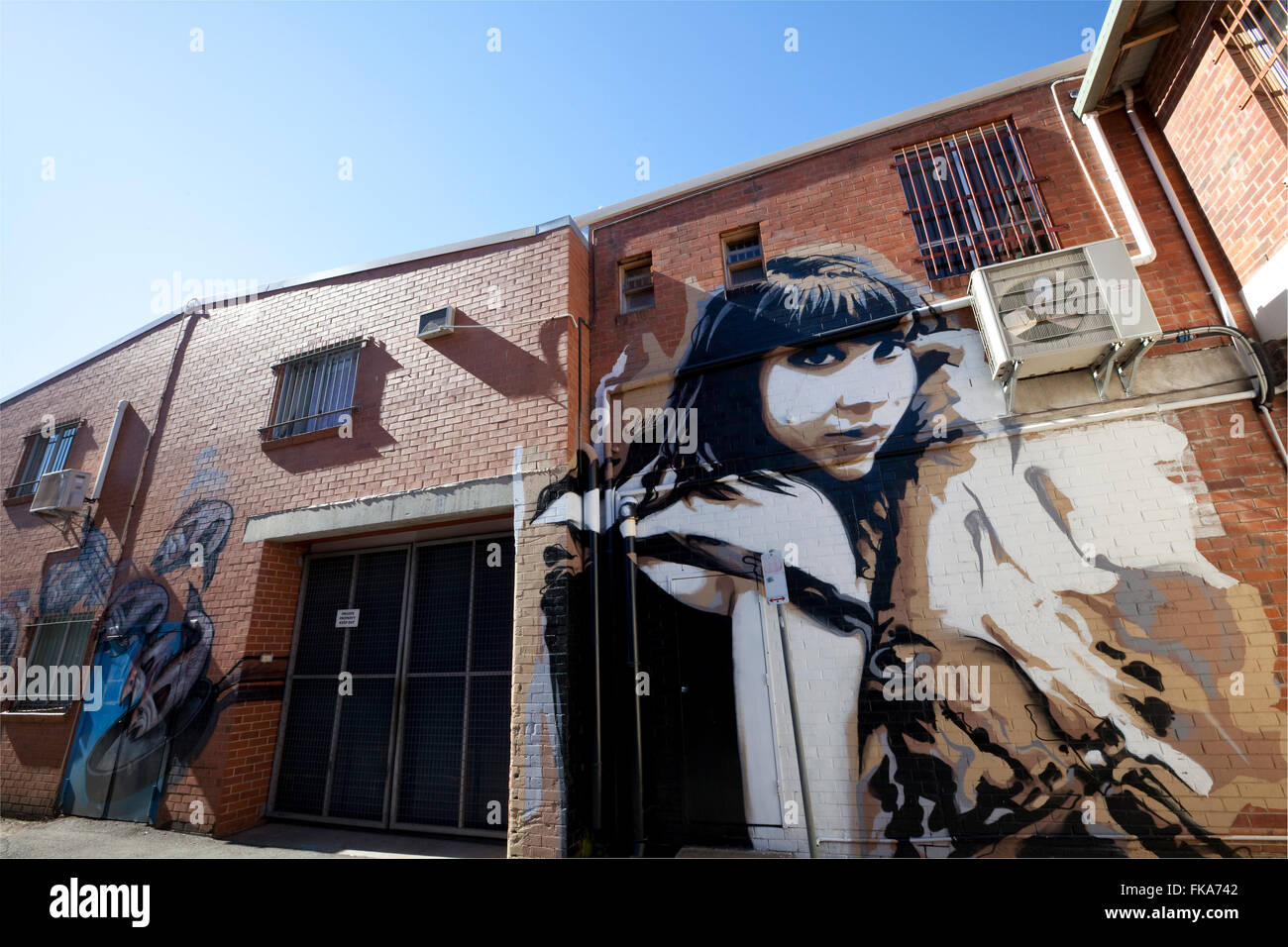 Arte di strada murale di Guido van Helten, il Vicolo Galleria, Lismore, NSW, Australia Foto Stock