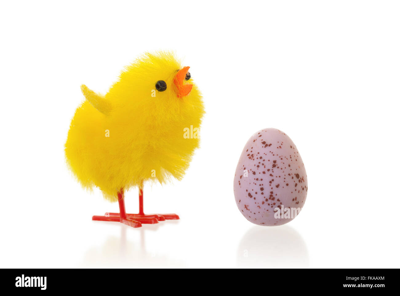Unico pulcino di pasqua con un uovo di cioccolato, isolato Foto Stock