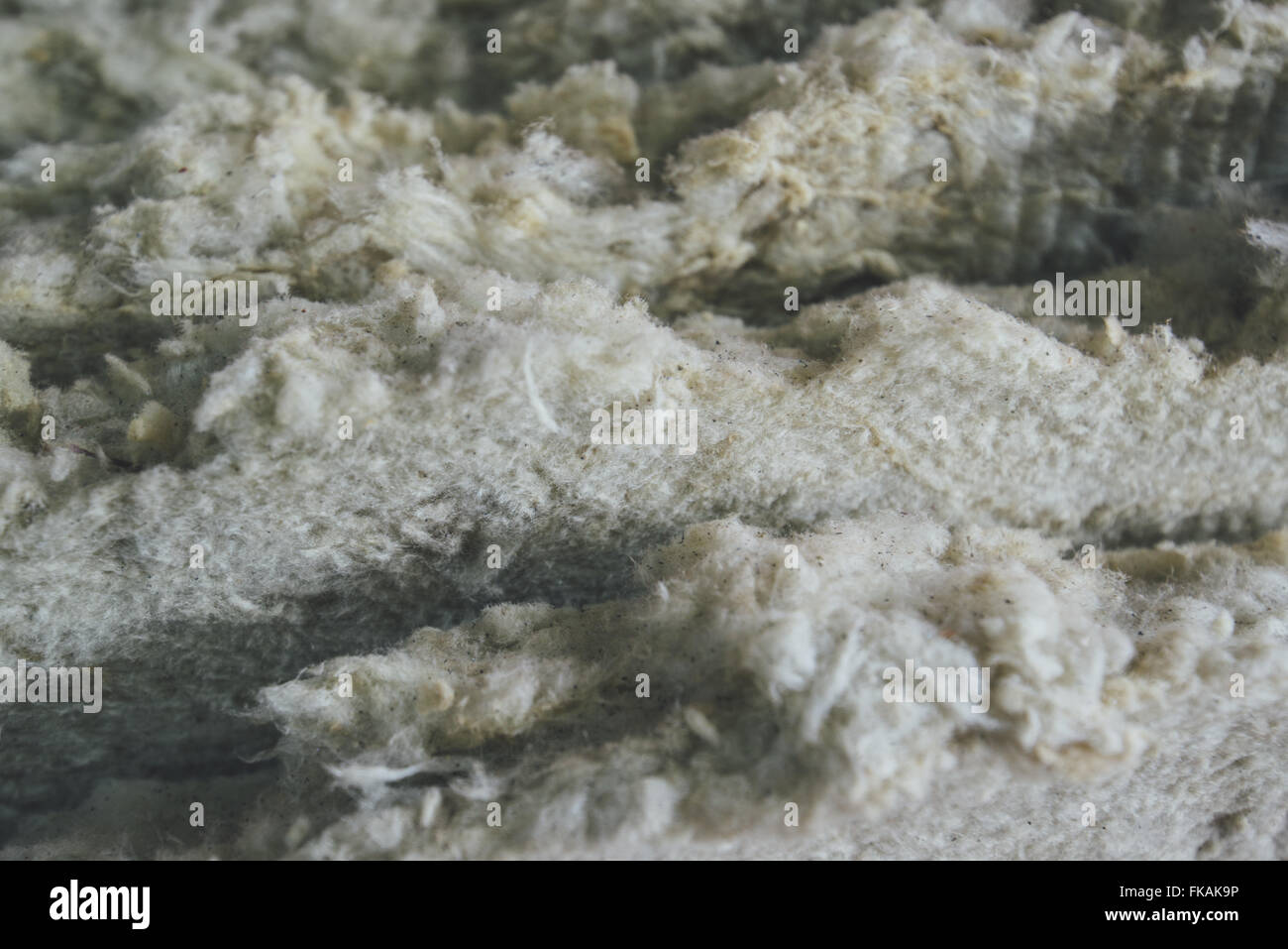 La lana di vetro batt dettaglio macro, materiale isolante termico Foto Stock