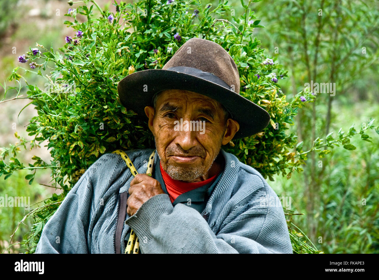 Argentina, indigeni uomo Foto Stock