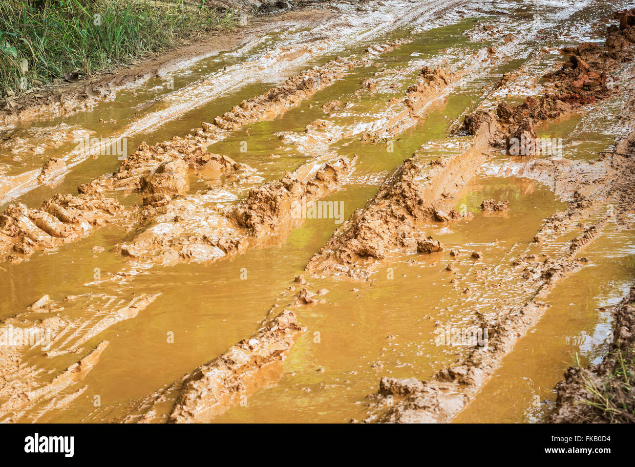 Strada sporca nel campo, Mae marmellata, Chiangmai, Thailandia. Foto Stock
