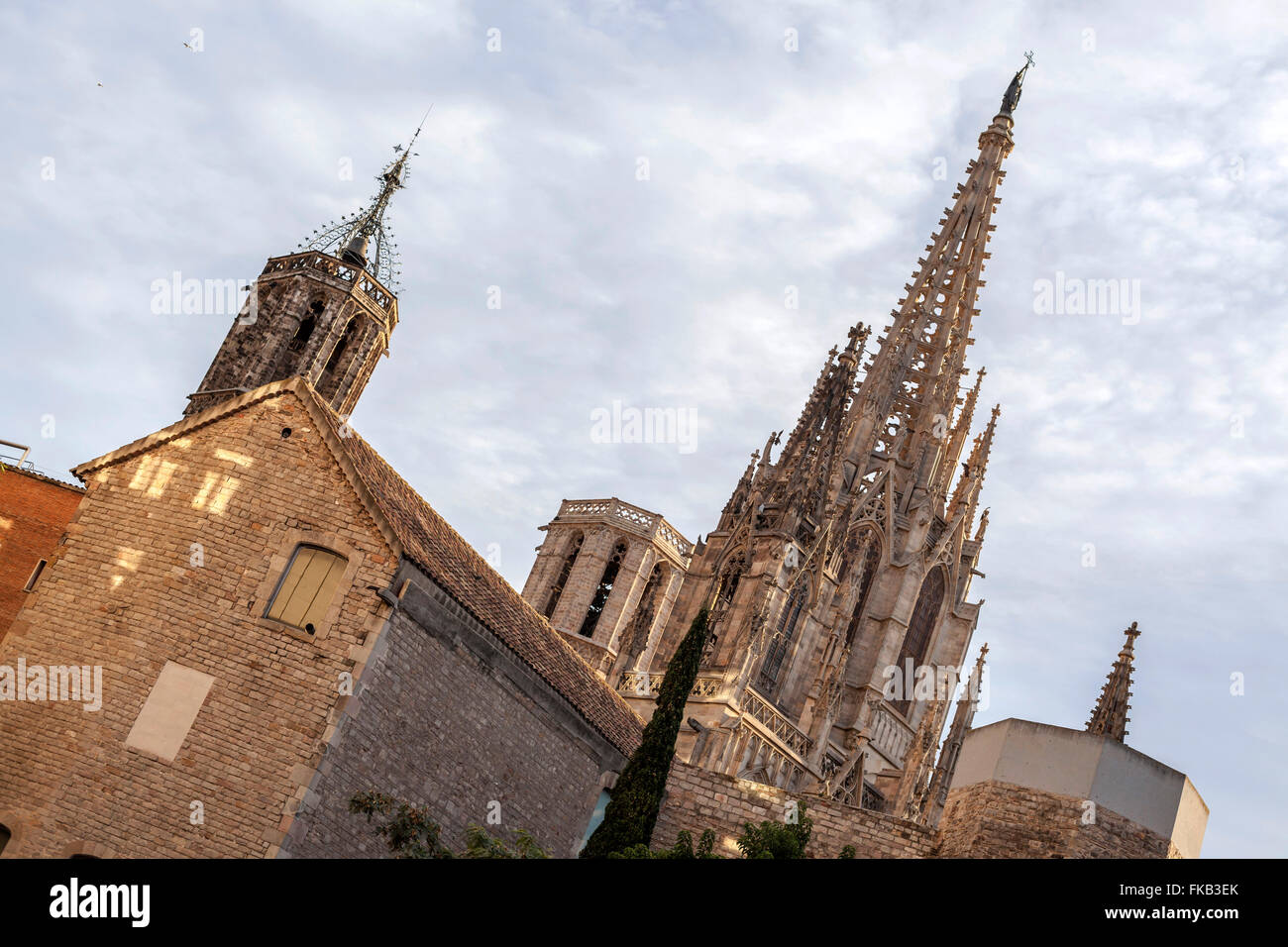 La torre della cattedrale di Barcellona. Foto Stock