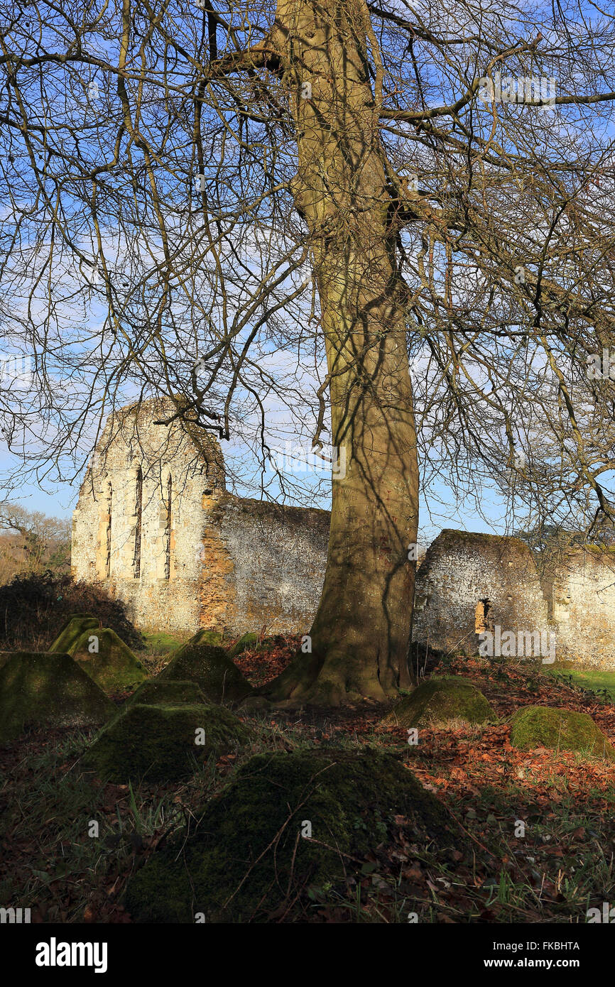 Abbazia di Waverley rovine e anti-serbatoio blocchi, Surrey, Inghilterra Foto Stock