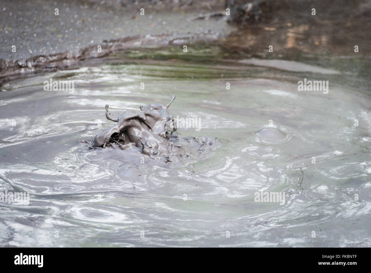 Dettaglio a caldo di fango bollente a piscine termali di Rotorua, Nuova Zelanda Foto Stock