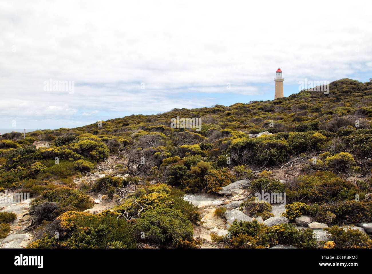 Faro di Cape du Couedic nel Parco Nazionale di Flinders Chase su Kangaroo Island, South Australia, Australia. Foto Stock