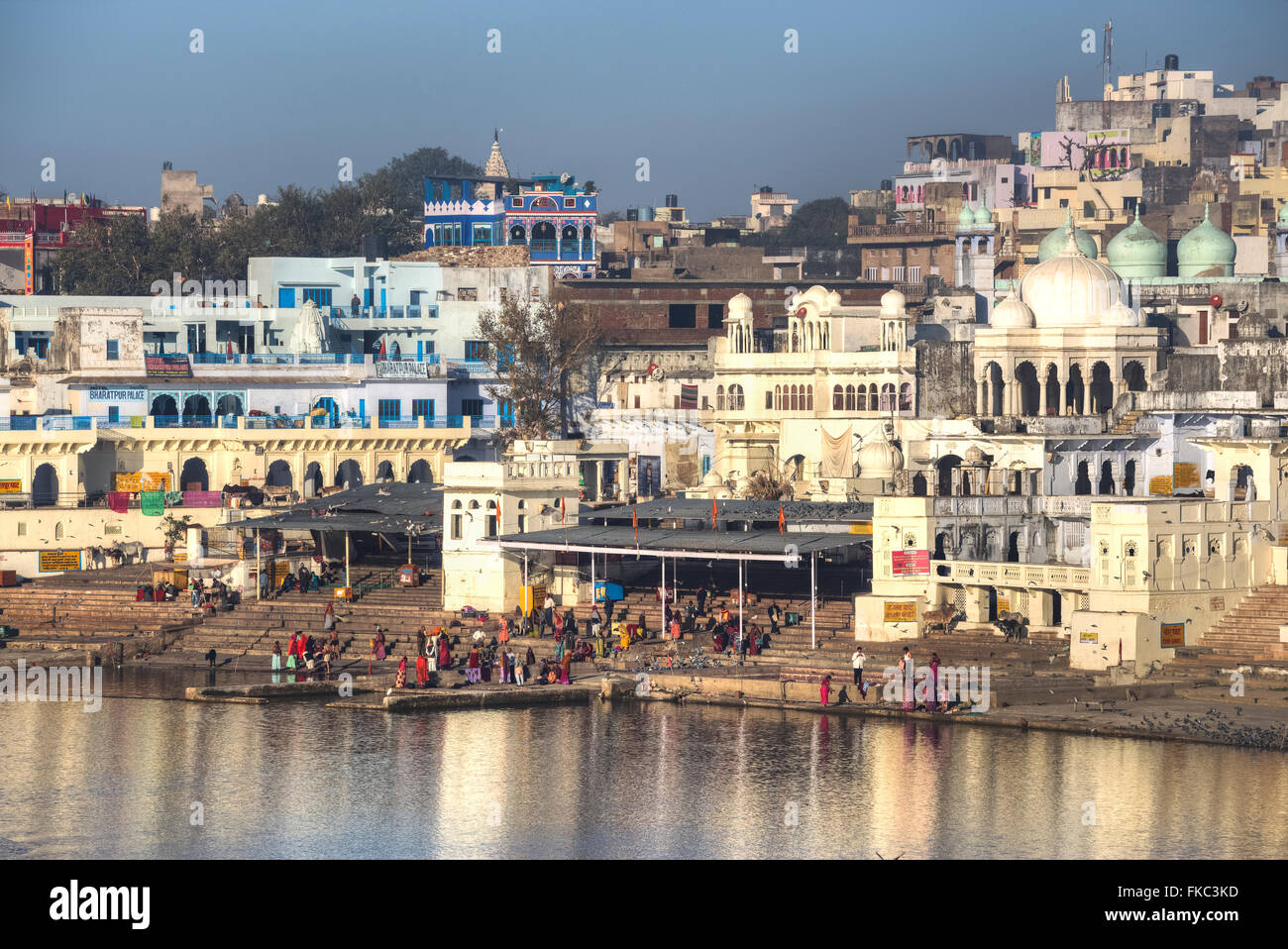 Pushkar, Ajmer, Rajasthan, India, Asia Foto Stock