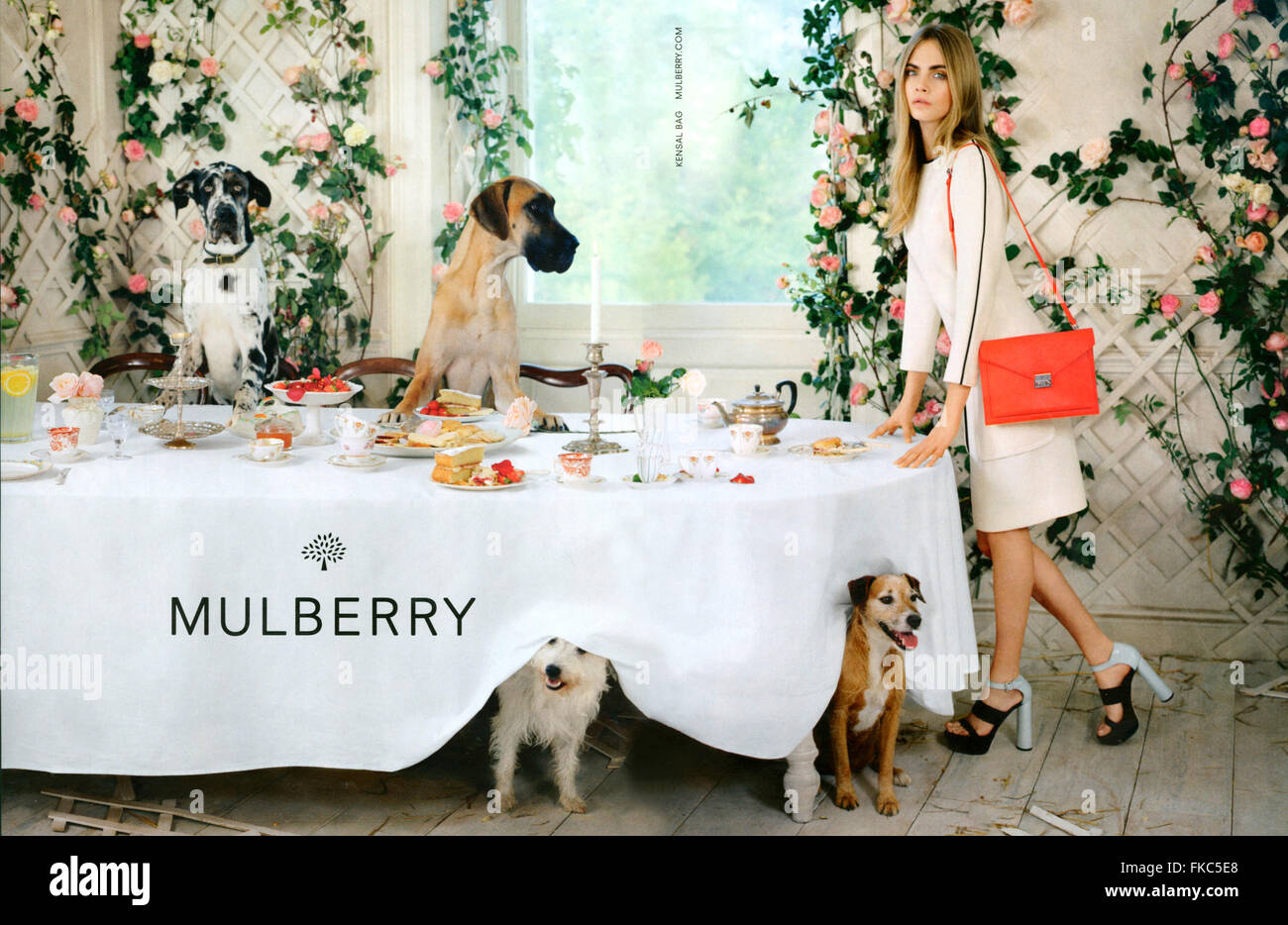2010S UK Mulberry Magazine annuncio pubblicitario Foto Stock