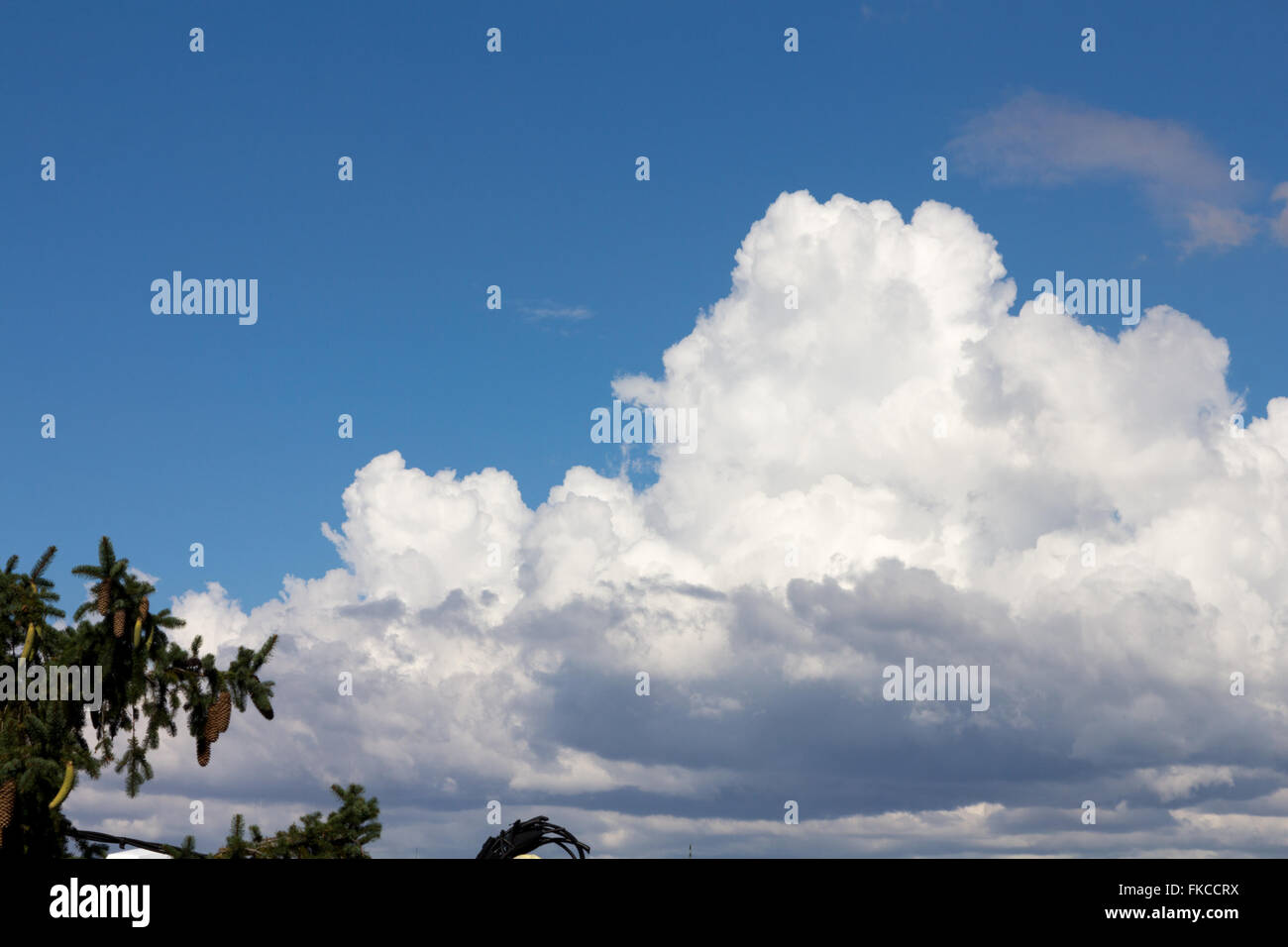 Grandi nuvole bianche nel cielo Foto Stock