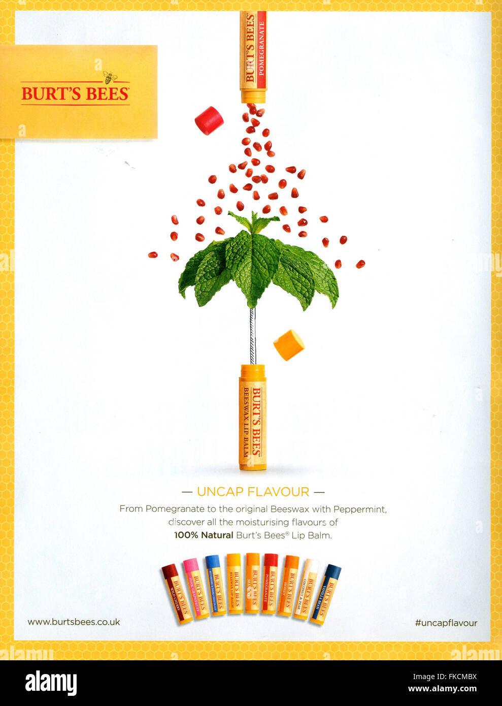 2010S UK Burt's Bees Magazine annuncio pubblicitario Foto Stock