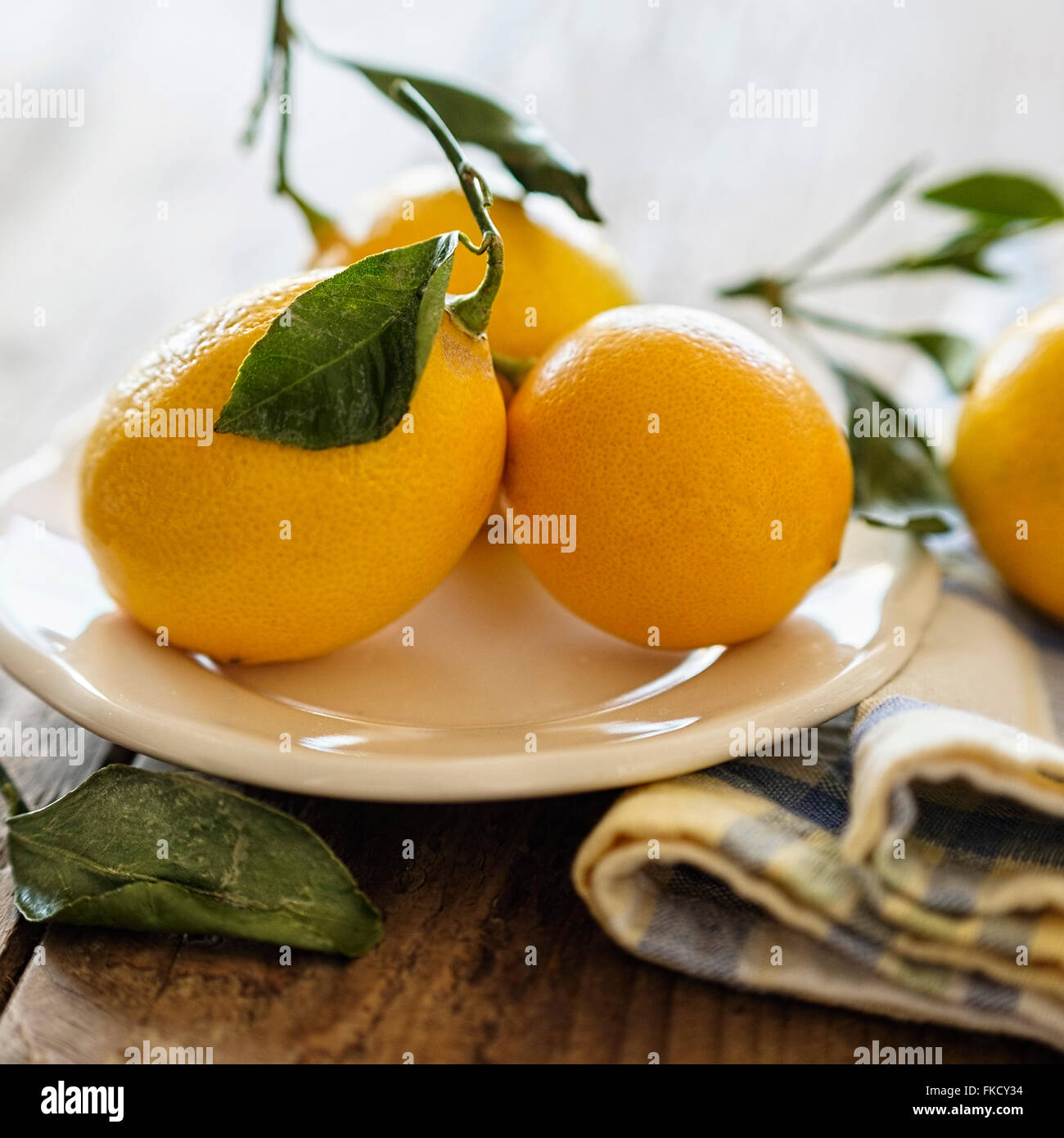 Limoni su piastra Foto Stock