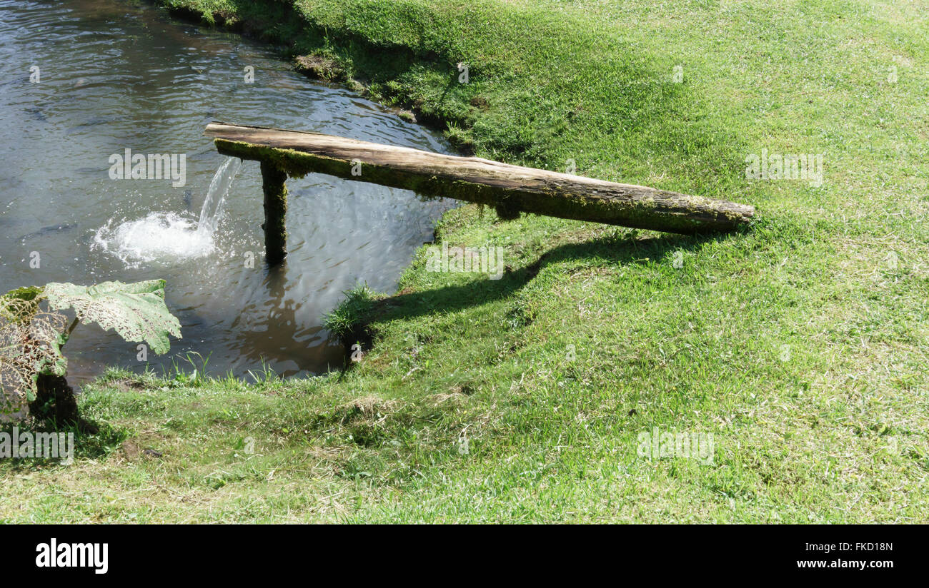 Angolo di Alta Vista della caduta di acqua dalla fontana in uno stagno, Costa Rica Foto Stock