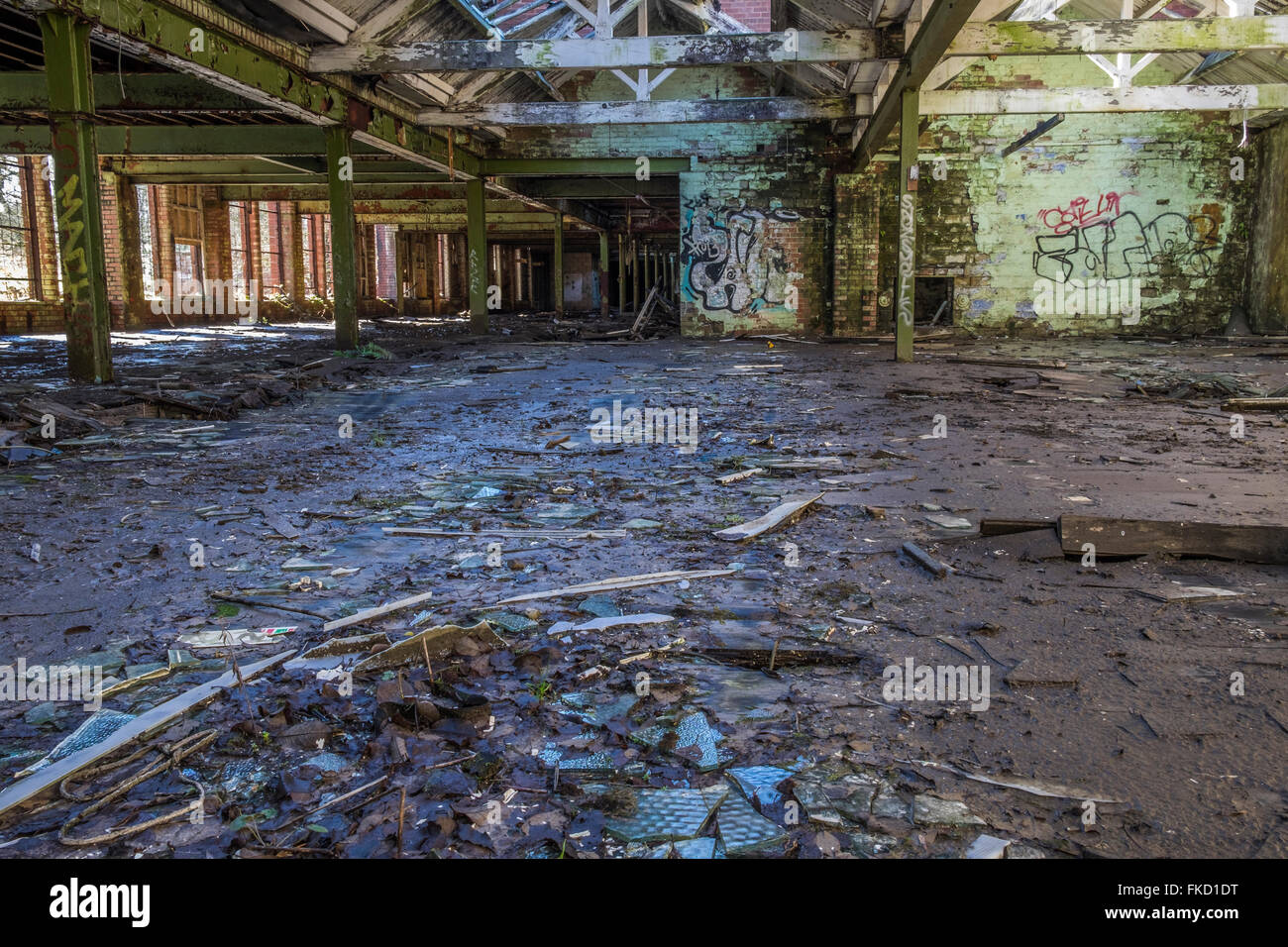 Una fabbrica in disuso che è stata lasciata decadere e rot, i pannelli di vetro del tetto si è rotto ed è caduto fuori, Foto Stock