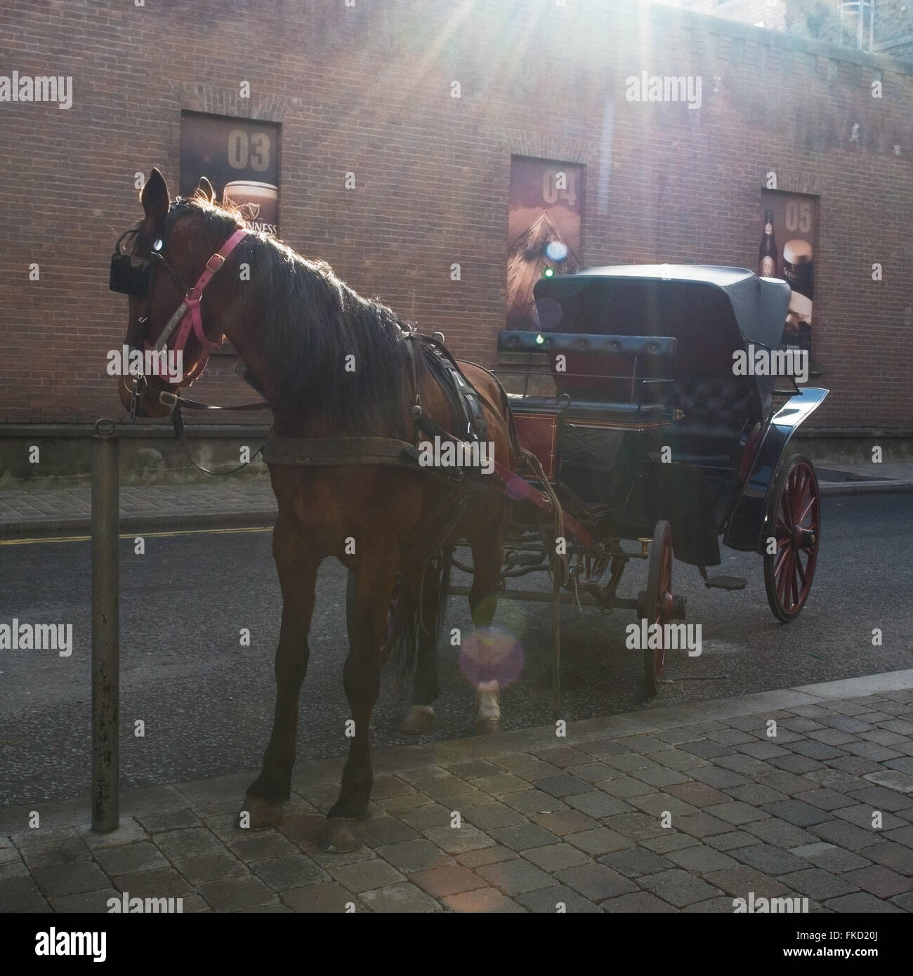 Carro trainato da cavalli in attesa per i turisti al di fuori della Guinness Storehouse, Dublino, Irlanda Foto Stock