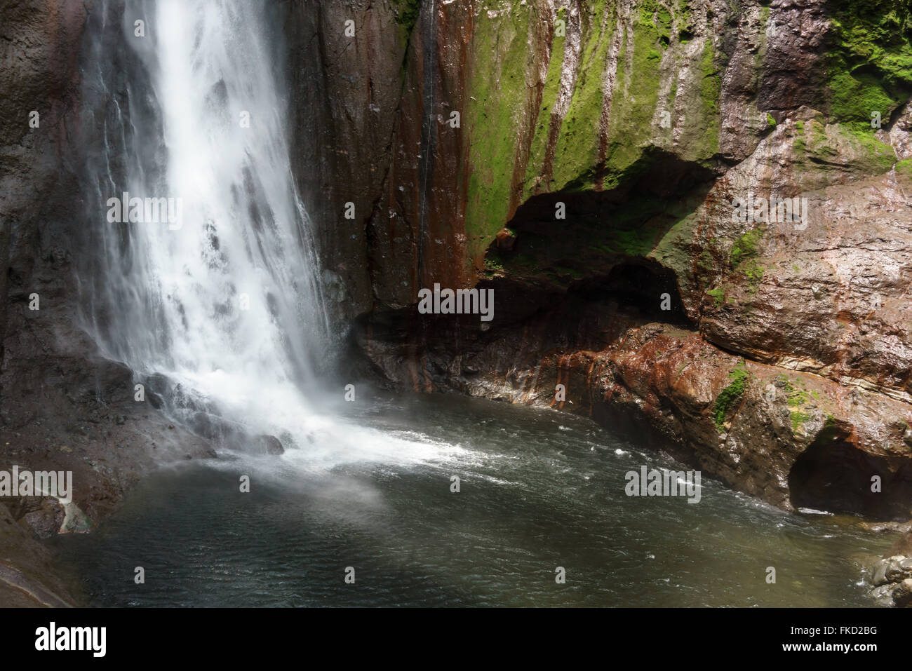 Vista La Fortuna cascata in una foresta, provincia di Alajuela, Costa Rica Foto Stock