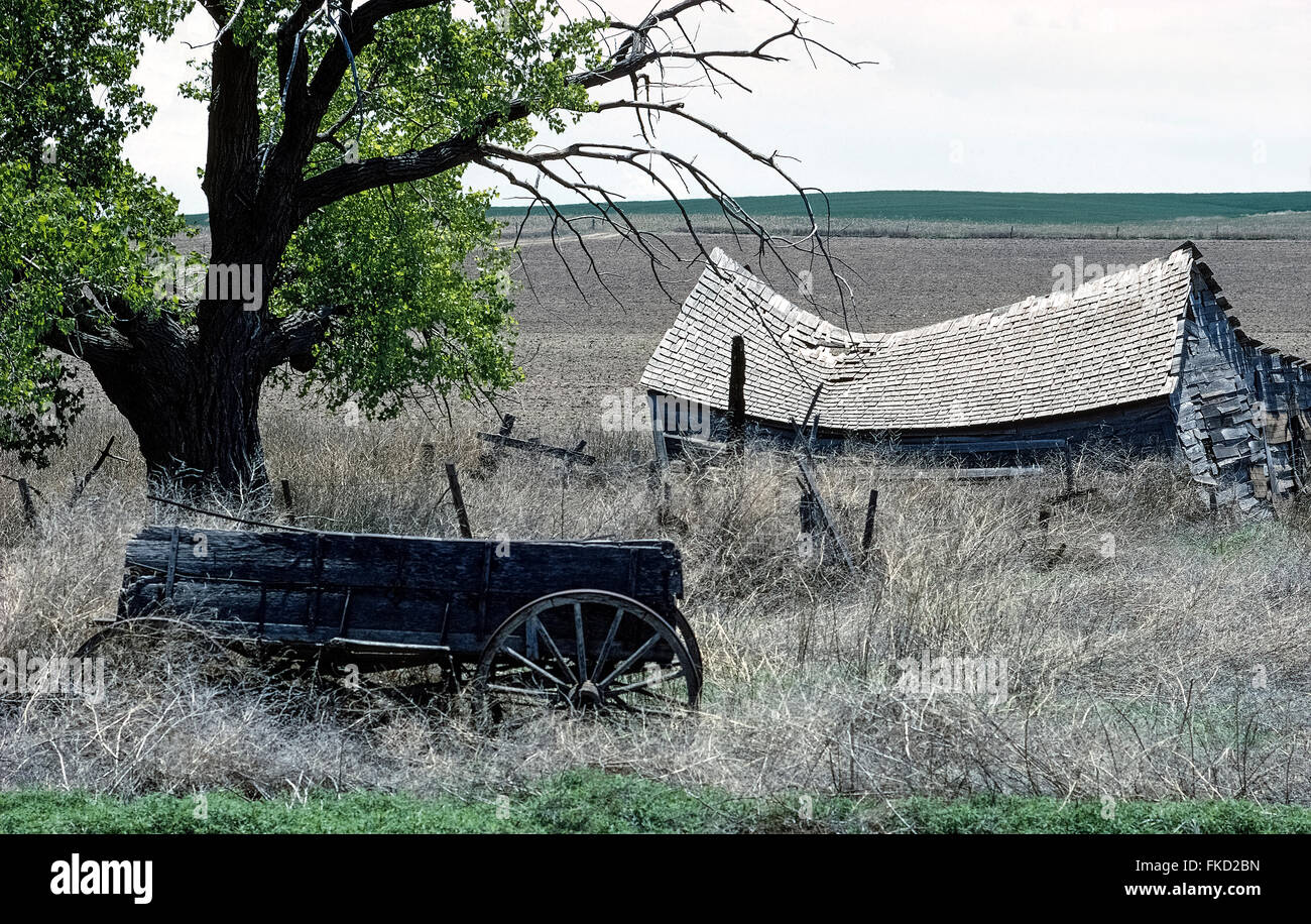 È crollata una cabina in legno e un'azienda abbandonata carro circondato da erbe infestanti al di sotto di un secolare albero sono gli unici resti di un inizio di homestead su questo lonely prairie nel Nebraska, USA. Gli Stati Uniti Homestead Act del 1862 ha consentito a chiunque di almeno 21 anni di stabilirsi su 160 acri (65 ettari) di terreni pubblici in Occidente senza carica. Al fine di ottenere il titolo di quella terra federale concede, il homesteader dovuto risiedere su, migliorare e coltivare la superficie coltivata per cinque anni. Foto Stock