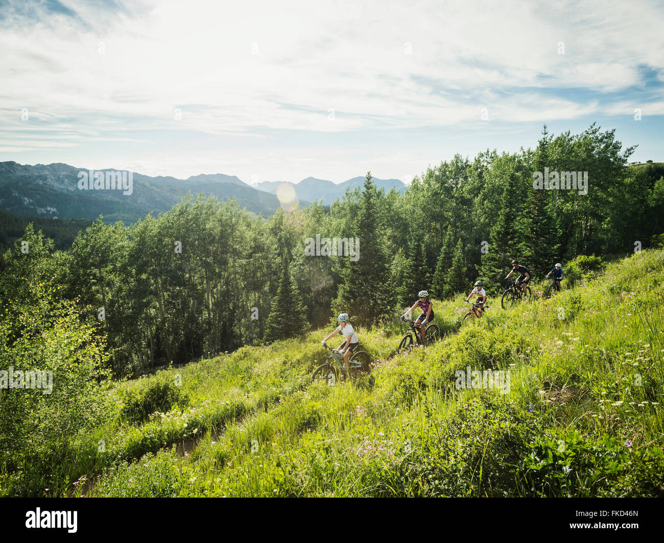 Famiglia con bambini (10-11, 12-13, 14-15) ciclismo in montagna Foto Stock
