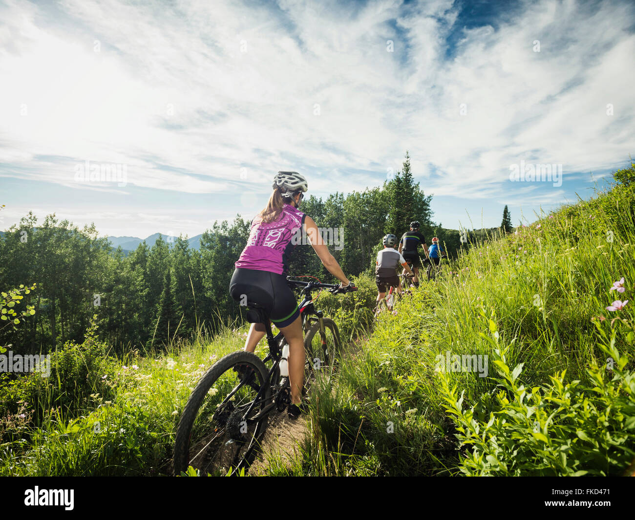 Famiglia con bambini ( 10-11, 12-13) ciclismo in montagna Foto Stock