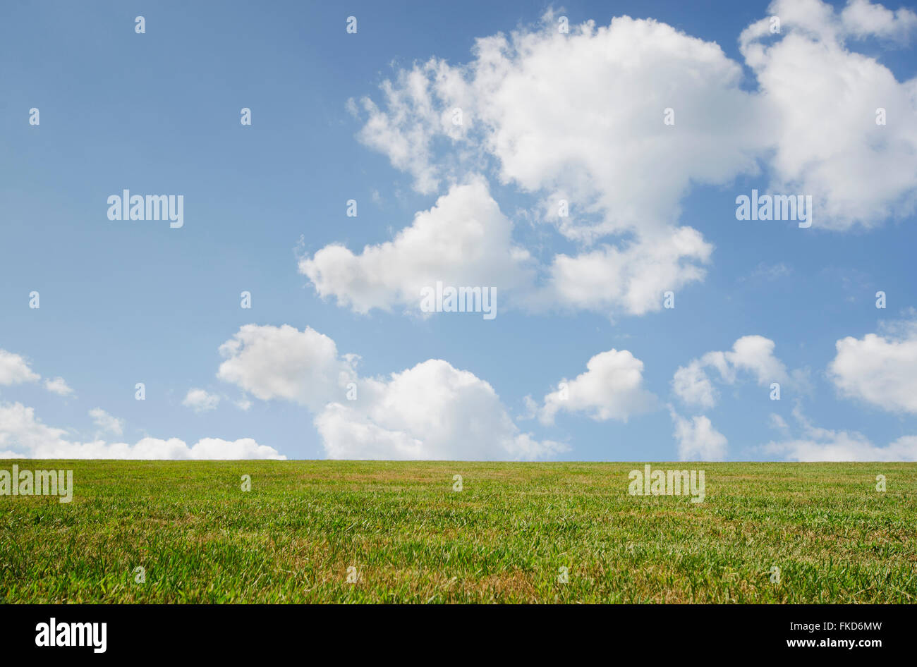 Il cielo sopra il campo erboso Foto Stock