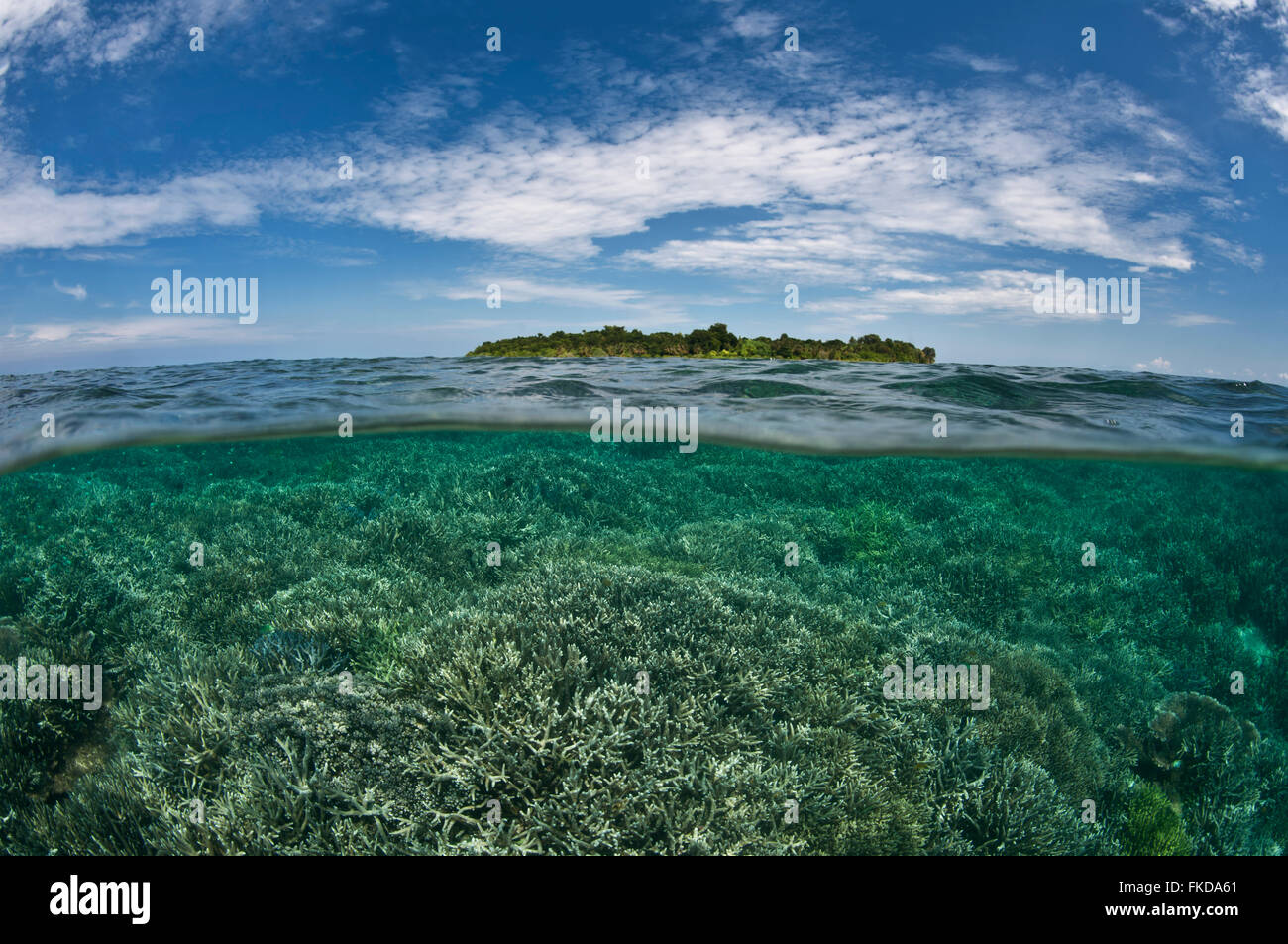 Sipadan Island fesa e subacquea split-livello. Foto Stock