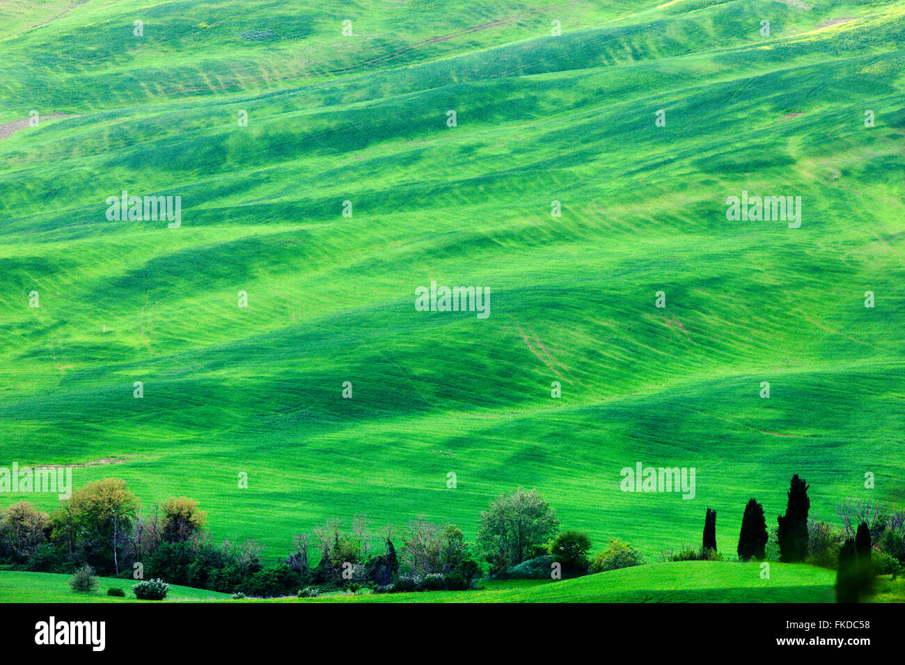 Verde paesaggio di laminazione Foto Stock