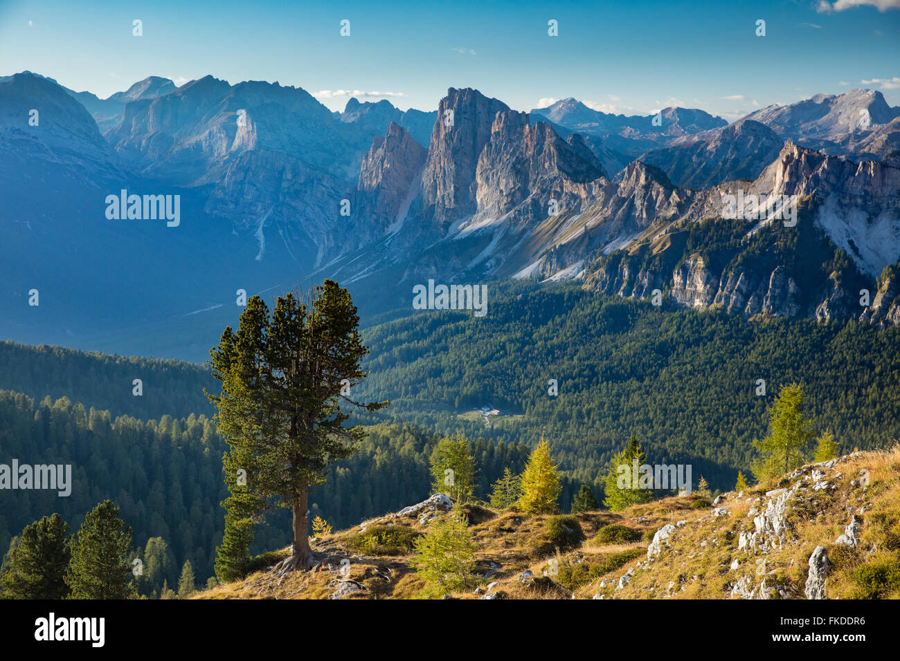 Vedute di Cristallo e le Dolomiti da Ciadin del Luodo, Provincia di Belluno, Veneto, Italia Foto Stock