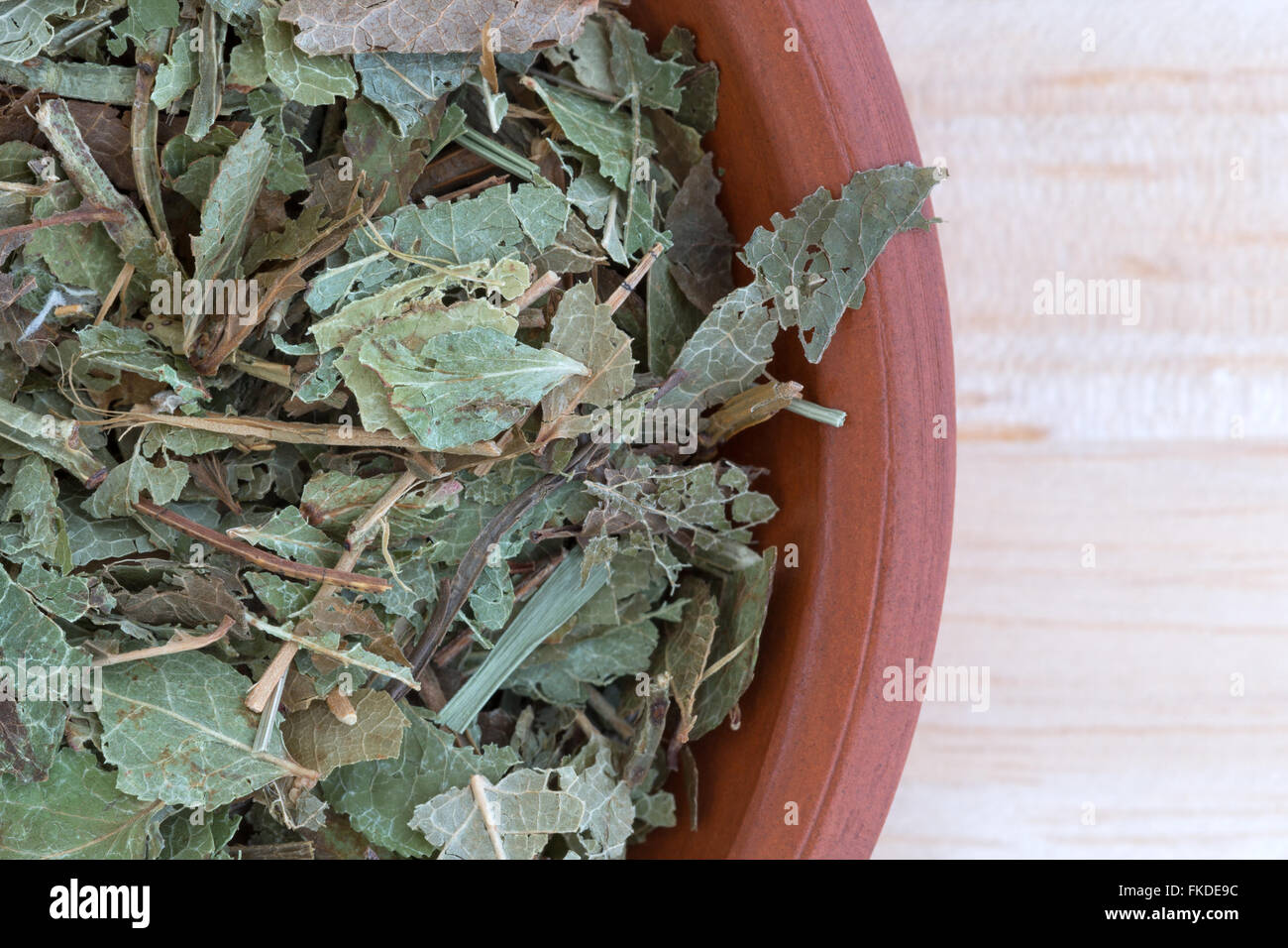 Top vista ravvicinata di una porzione di mirtilli secchi foglie in una piccola ciotola in cima a una tavola di legno alto. Foto Stock