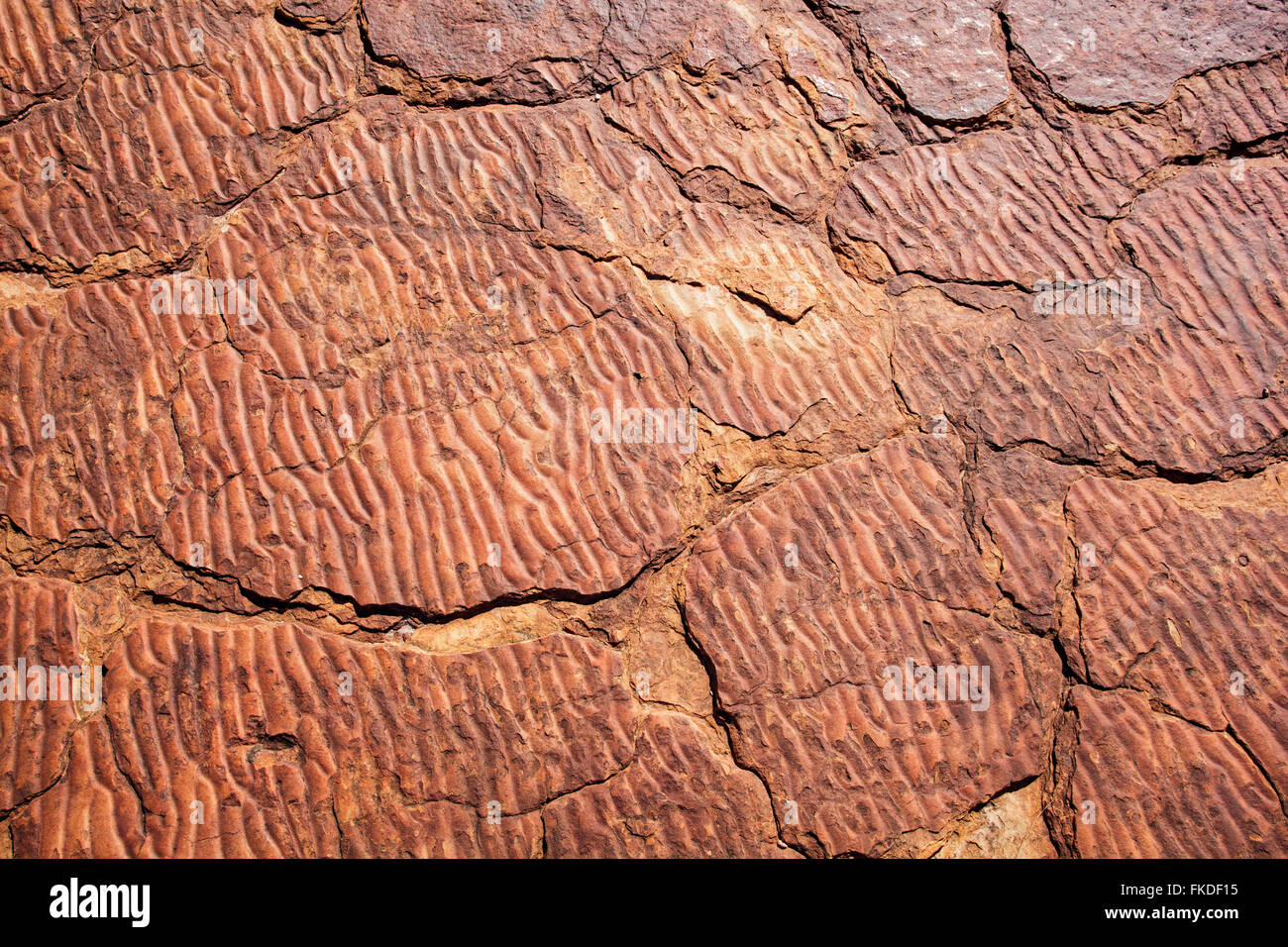 Close up di roccia del canyon Foto Stock