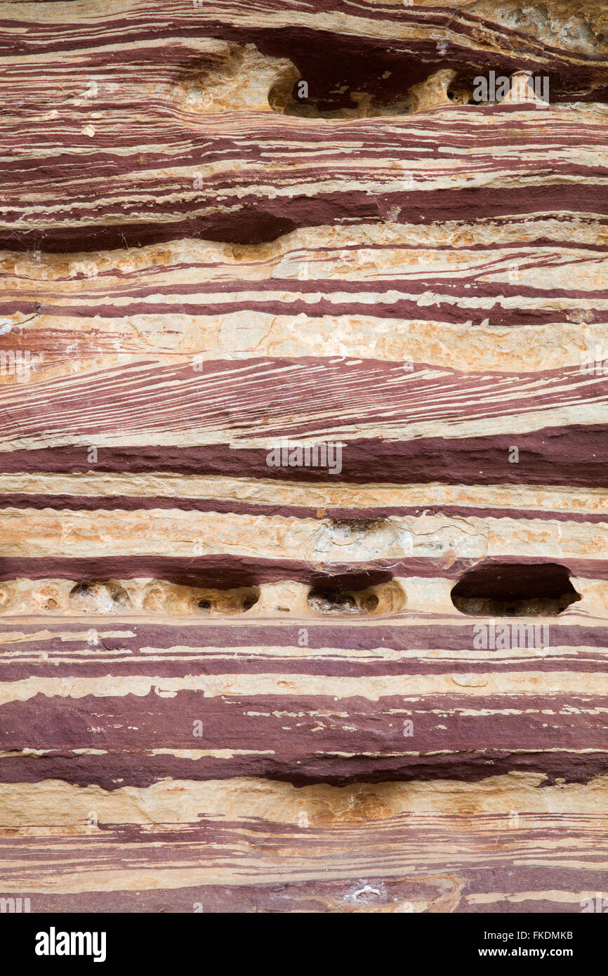 Strati di roccia in Murchison River Gorge a Ross Graham, Kalbarri National Park, Australia occidentale Foto Stock