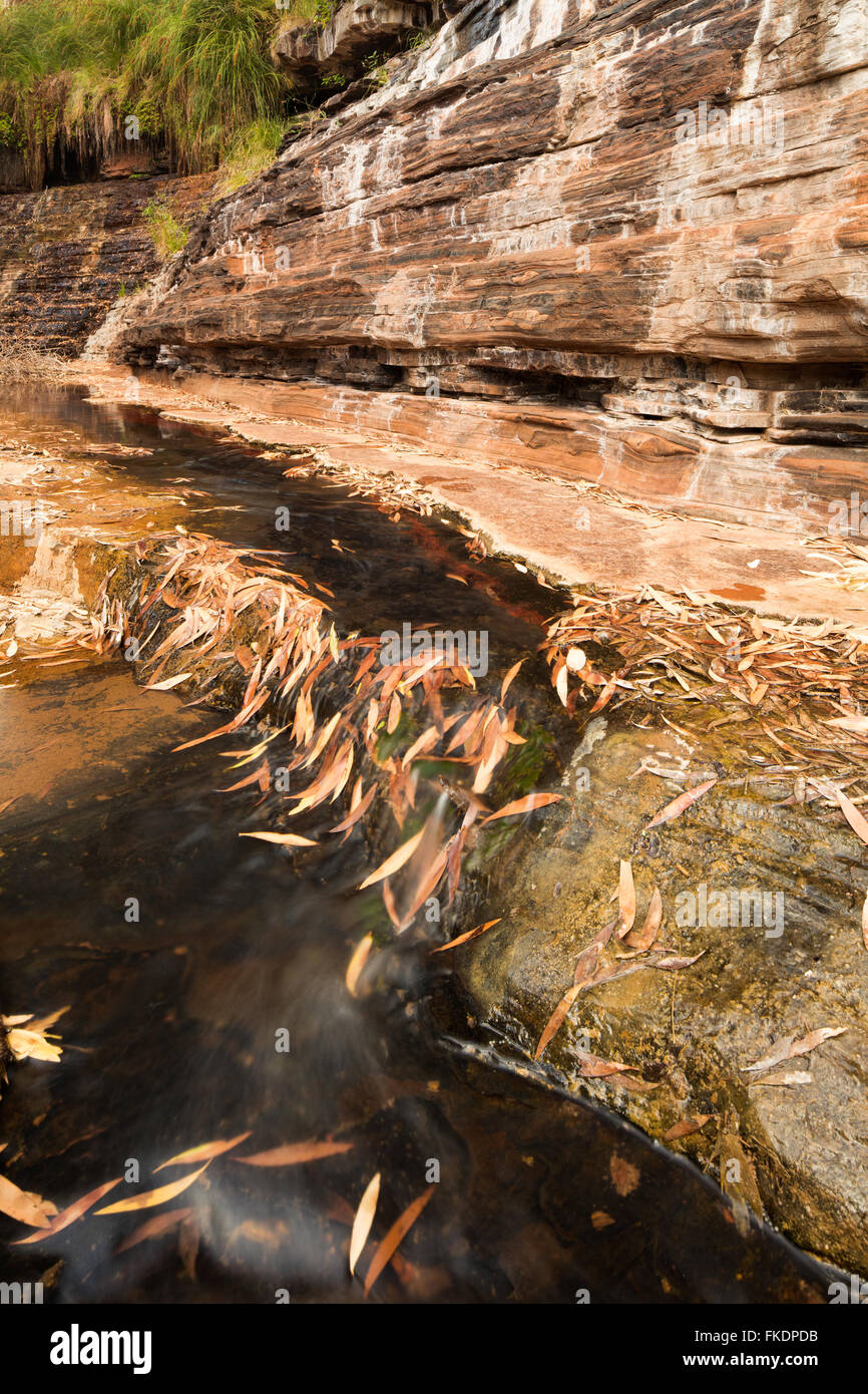 Kalamina Gorge, Karijini National Park, Pilbarra, Australia occidentale Foto Stock