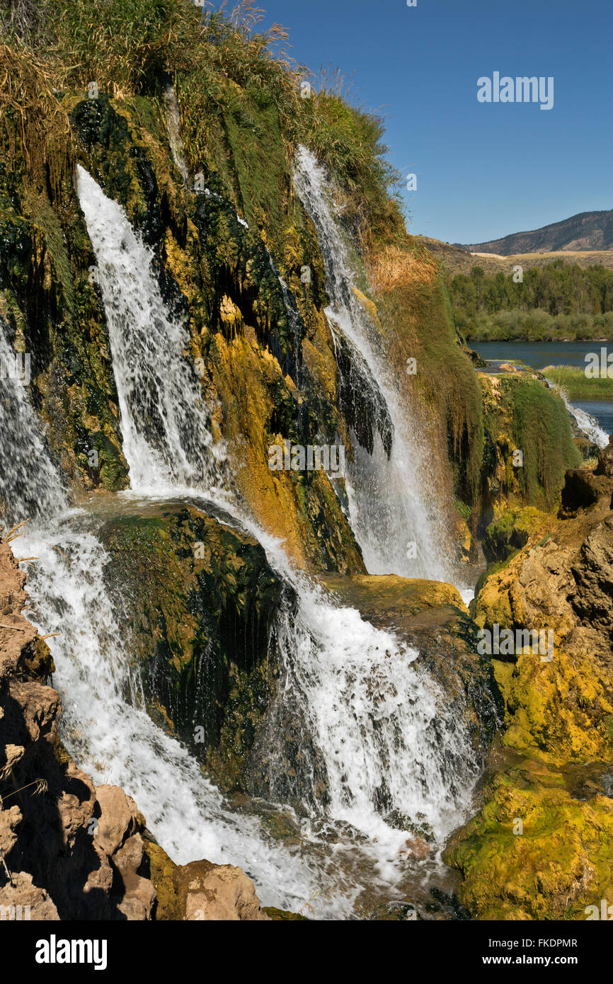 ID00632-00...IDAHO - Fall Creek Falls e il fiume Snake con il Fiume Snake Gamma nella distanza. Foto Stock