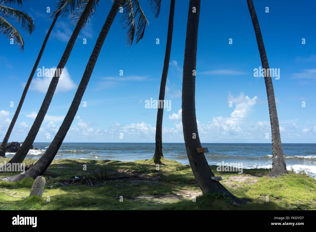 Vista panoramica della spiaggia di esotico con palme, Trinidad, Trinidad e Tobago Foto Stock