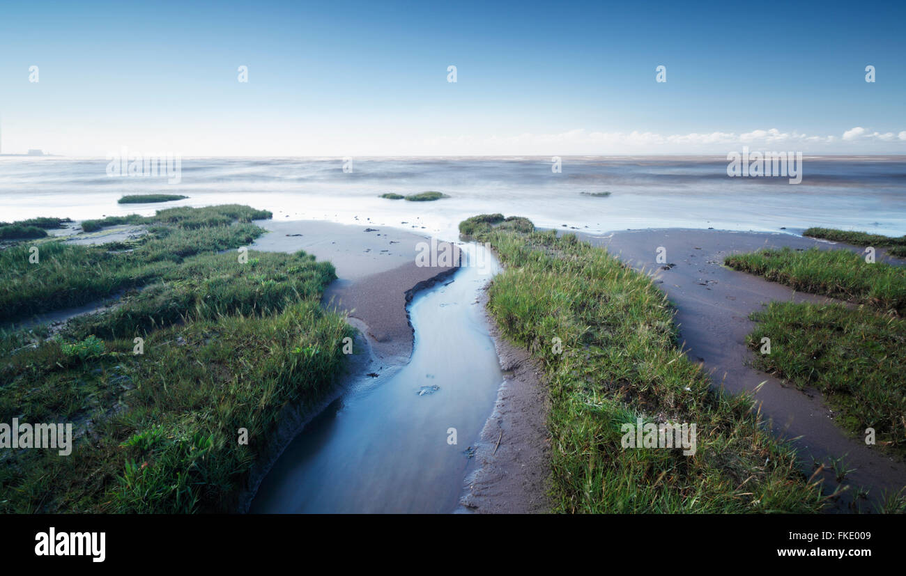 Palude costiera, marea. Steart paludi. Somerset. Regno Unito. Foto Stock