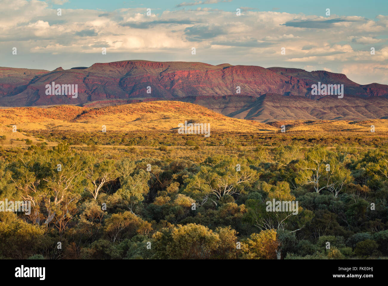 Pilbara, Australia occidentale Foto Stock