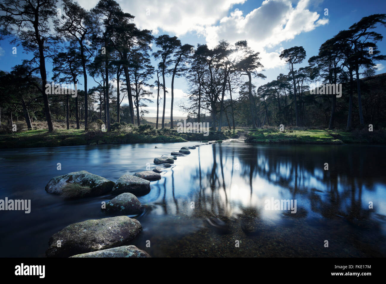 Pietre miliari che attraversa il West Dart River. Parco Nazionale di Dartmoor. Devon. Regno Unito. Foto Stock