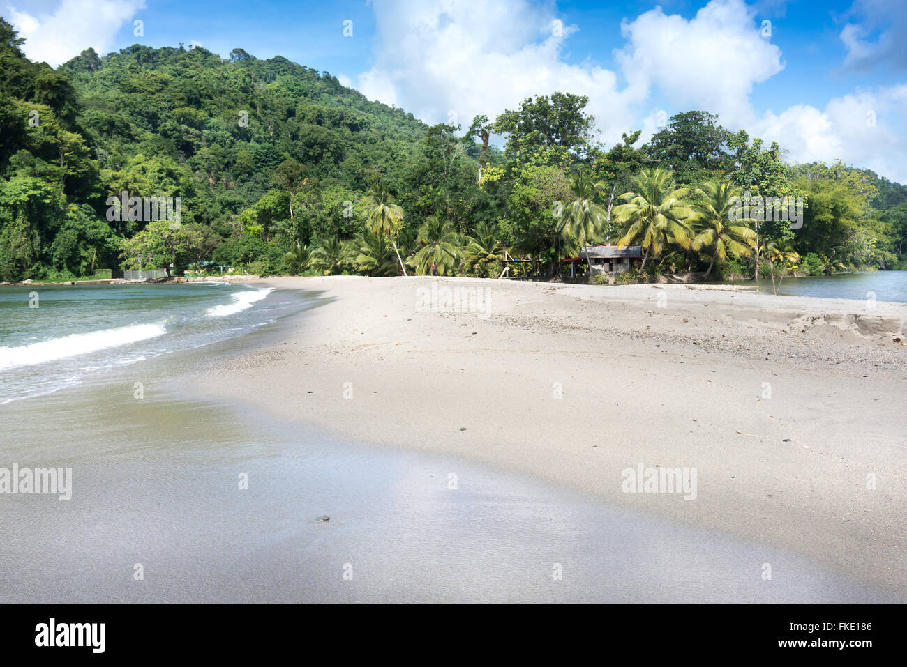 Vista panoramica della spiaggia di esotico con palme, Trinidad, Trinidad e Tobago Foto Stock